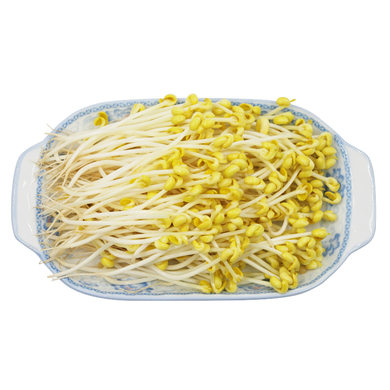 农村黄豆芽 约624g/份