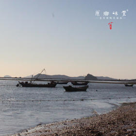  海上牧云（视频） | 这是中国最好的野生海参小产区，一年却只有20天的捕捞时机