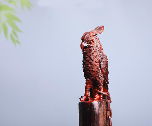 “英明神武”紫檀手工雕刻鹦鹉摆件 155 商品图0