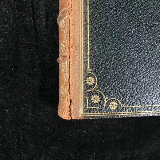 1899年 布勒特·哈特诗集 12幅精美版画插图 全真皮精装大32开 商品图4