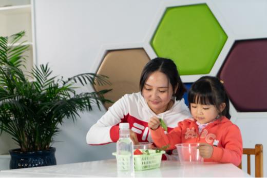 思维类：会呼吸的叶子 商品图0