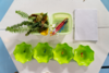 艺术类：植物印画 商品缩略图0