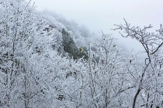 9元|九皇山二十周年庆特价!