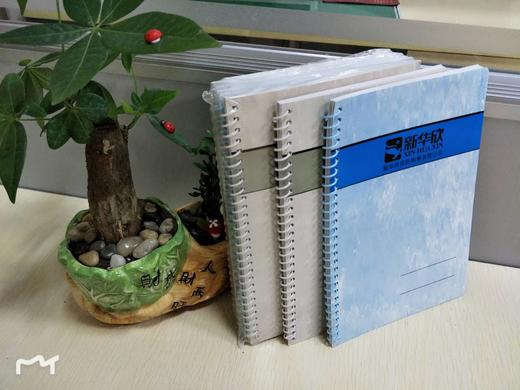 线圈本（一包10本） 商品图1