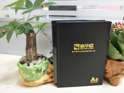 硬壳笔记本（10本） 商品图0