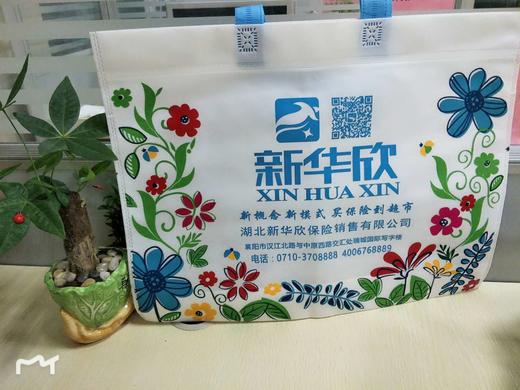 华欣白色环保袋（华欣布袋大号） 商品图0