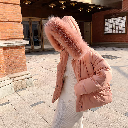 余潇潇2018冬装新款貉子毛领轻薄气质保暖长袖羽绒服女袖子可拆卸 商品图0