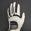 MacGregor【品牌商库存】 日本原产 高耐磨材质 高尔夫手套合成皮革会员685白金卡.58 商品缩略图1