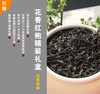 【礼盒装现货】 “四掌柜的花香红袍礼盒 ” | 武夷山单片区高海拔大红袍，传统手工艺炭火杀青，花香缭绕，125G茶叶+粗陶罐+精美外盒! 商品缩略图0