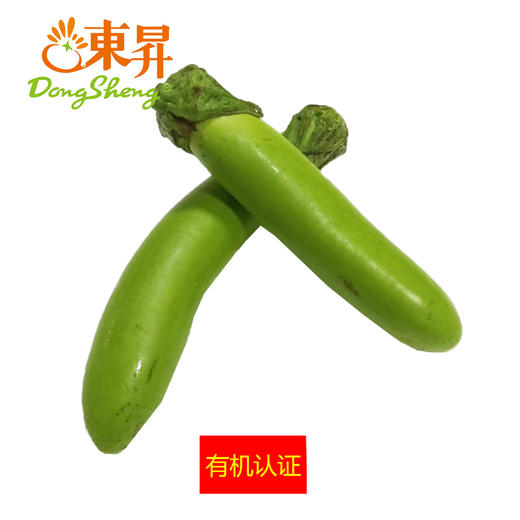 东升农场 有机青茄子 矮瓜青茄瓜 广州供港新鲜蔬菜配送 400g 商品图0