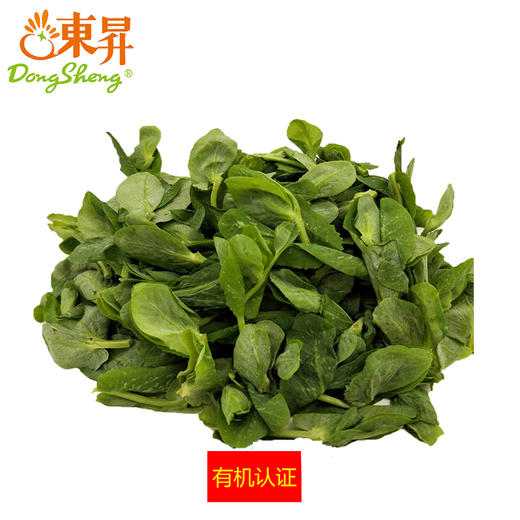 东升农场 有机豆苗 豌豆苗 龙须菜 200g  广州供港新鲜蔬菜配送 商品图0