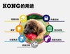 🇺🇸KONG成犬加强版葫芦 耐咬磨牙漏食玩具 商品缩略图2