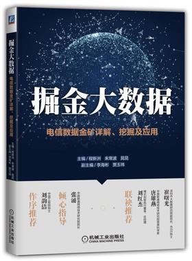掘金大数据：电信数据金矿详解、挖掘及应用