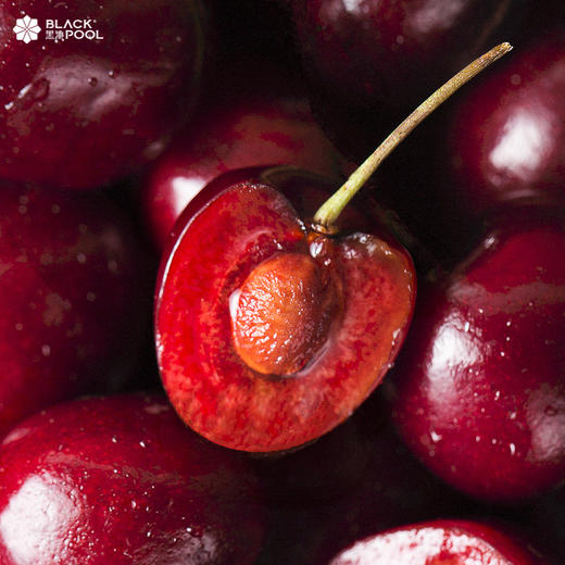 车厘子香草慕斯  Cherry Vanilla Mousse 商品图11