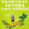 内蒙大瓜子——健康无添加【年货预定】 商品缩略图5