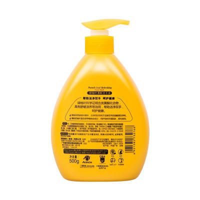 【洗衣液】。新款 澳雪纯利碌柚叶清新洗手液500ml 商品图3
