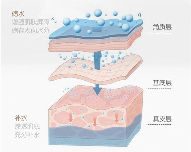 01 液晶系统 液晶系统,能够形成类似皮肤脂质的层状结构液晶