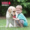 KONG成犬经典款葫芦 耐咬磨牙漏食玩具 商品缩略图3