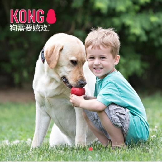 KONG成犬经典款葫芦 耐咬磨牙漏食玩具 商品图3