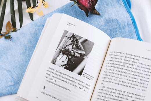 《昆虫志》丨人类学家观看虫虫的26种方式-分销 商品图1