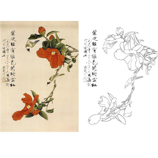 于非闇竖幅工笔花鸟白描底稿《山茶白头》-多种白描尺寸可选-YF53 商品图0
