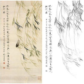 于非闇竖幅工笔花鸟白描底稿-知了《柳蝉》-多种白描尺寸可选-YF51