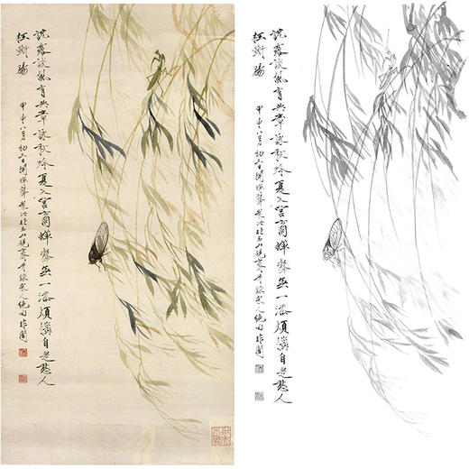 于非闇竖幅工笔花鸟白描底稿-知了《柳蝉》-多种白描尺寸可选-YF51 商品图0