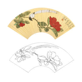 于非闇工笔花鸟白描底稿-扇面小品《茶花绶带》-多种白描尺寸可选-YF62
