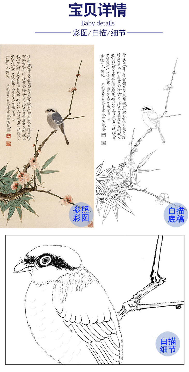 于非暗白描底稿-工笔花鸟-梅竹伯劳图-yf52
