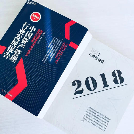 湛庐┃2018年中国资产管理行业发展报告：新旧监管体系转换中的资产管理行业转型 商品图1