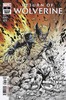 金刚狼归来 主刊 Return Of Wolverine（2018）变体 商品缩略图12
