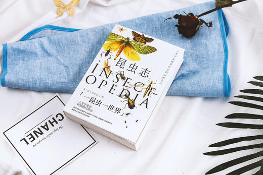 《昆虫志》丨人类学家观看虫虫的26种方式-分销 商品图4