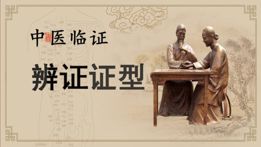 七版中医辨证证型大全 | 内外妇儿 商品图0