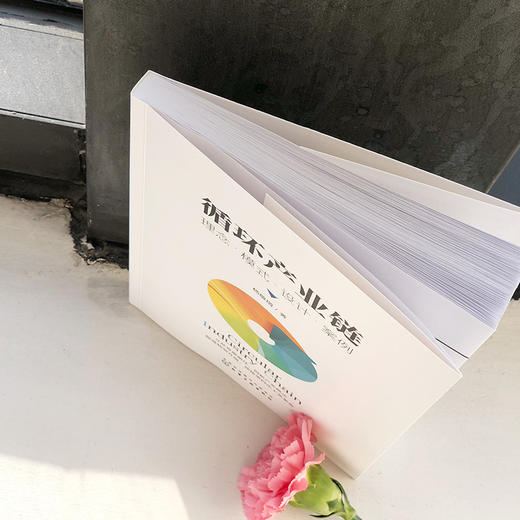 循环产业链：理念·模式·设计·案例 商品图3