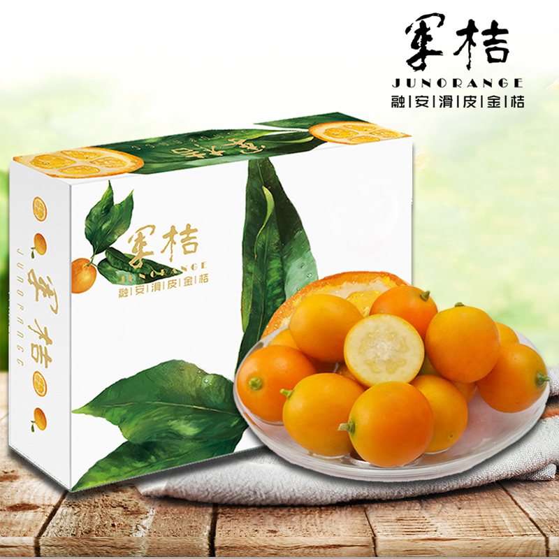 【脆甜多汁】广西融安特产滑皮金桔 新鲜水果现摘现发
