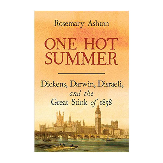 火热一夏：狄更斯、达尔文、迪斯雷利及1858年的大恶臭 英文原版 One Hot Summer: the Great Stink of 1858 中世纪 欧洲史 商品图0