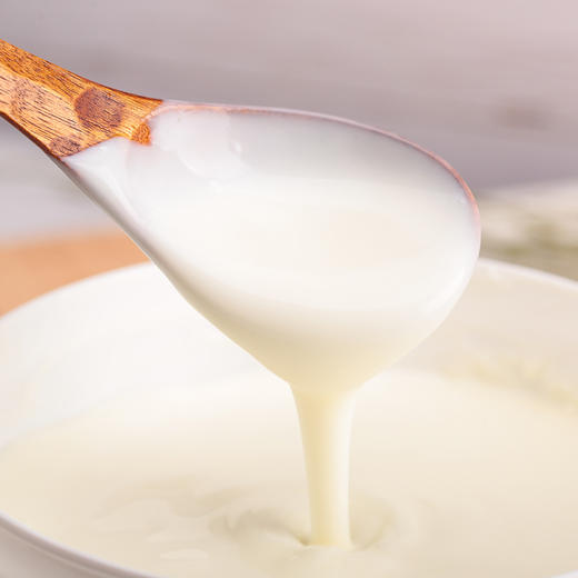 【砍价9.9元购】(第一波)奶赞 浓缩原味酸奶 零添加 1500g 商品图2