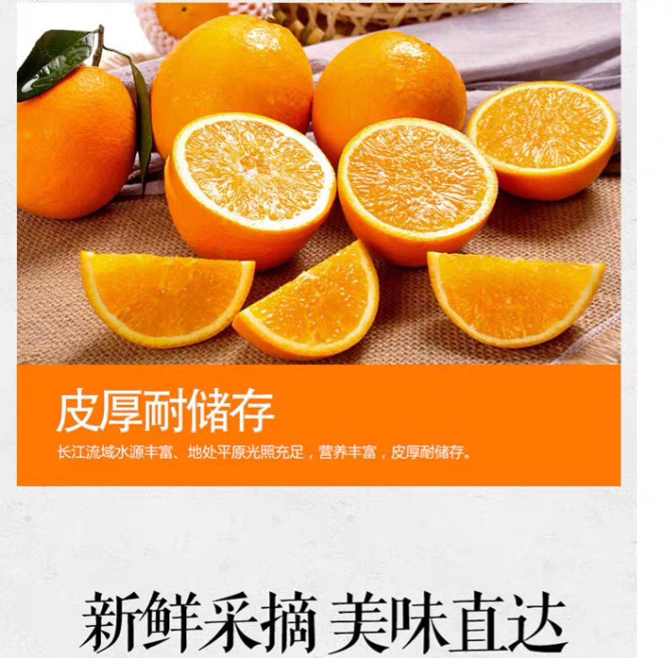 正宗秭归纽荷尔,长红,圆红,福罗斯特精品脐橙