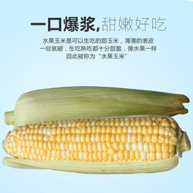 【最后5小时】甜嫩水果玉米——亦果亦蔬，引爆味蕾