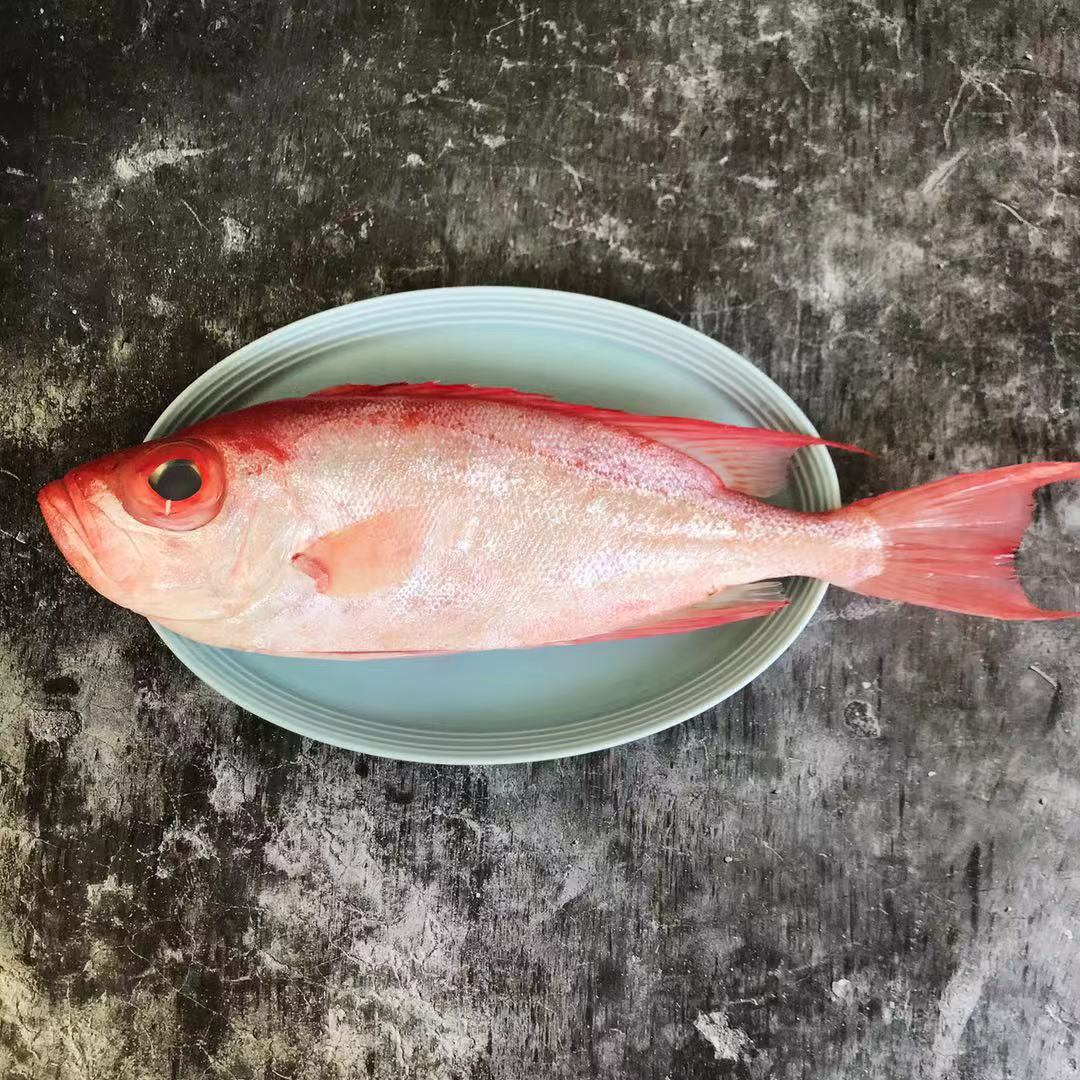 野生海钓大眼鸡(冰鲜)