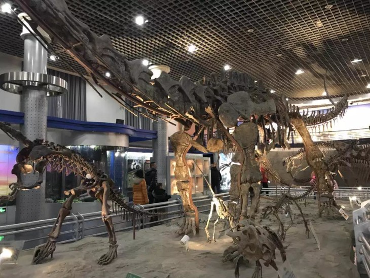 《探寻神奇的古爬行动物》北京自然博物馆
