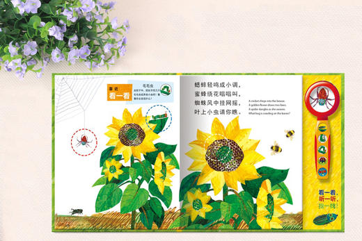 你发现了什么 商品图2