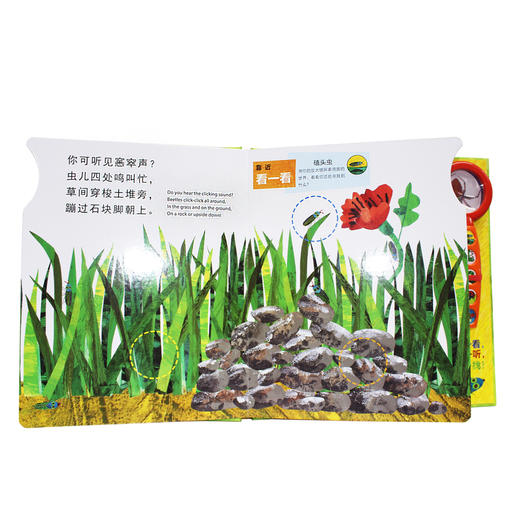 你发现了什么 商品图3