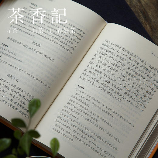 茶香记 《搜神记》马银琴译注 中华书局 志怪小说 经典名著 商品图3