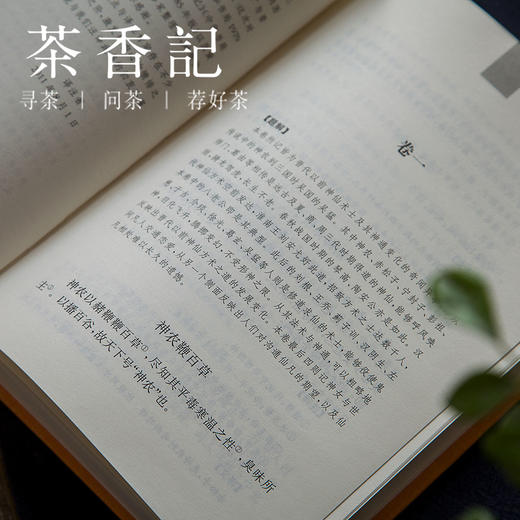 茶香记 《搜神记》马银琴译注 中华书局 志怪小说 经典名著 商品图2