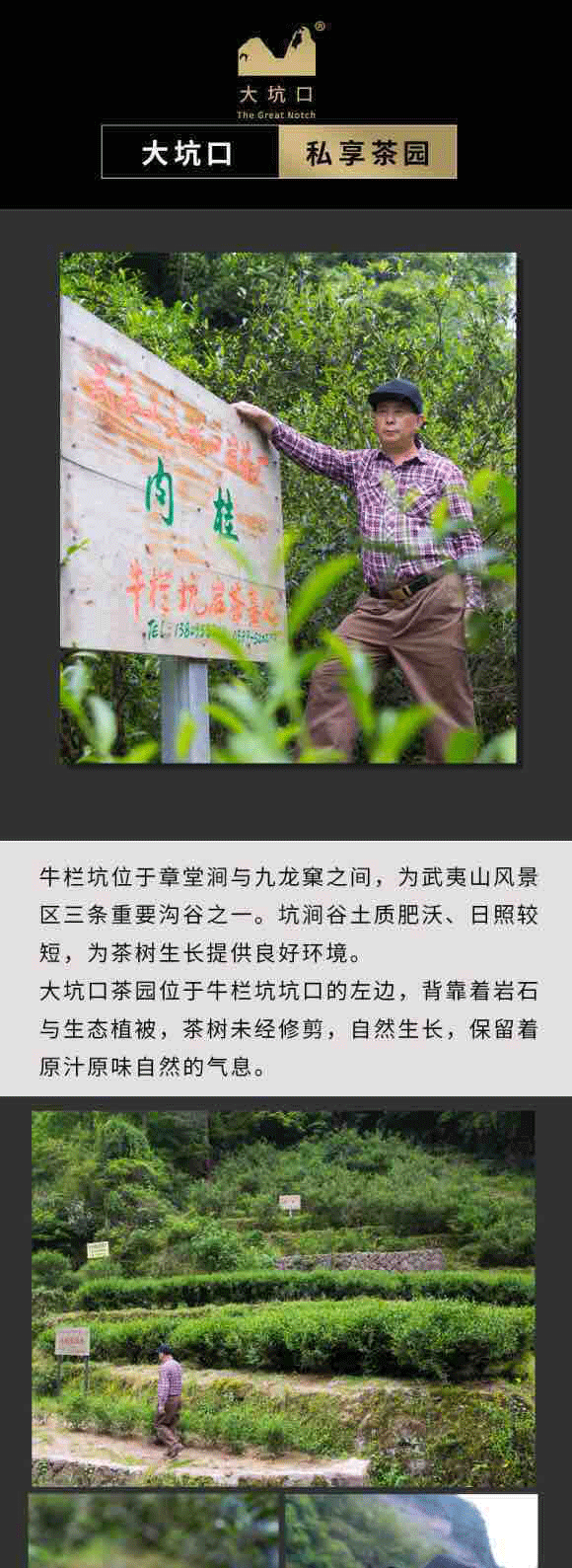 大坑口丹崖玉贵50g礼盒装