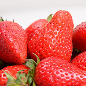 阅农|  红颜草莓 果园直采 水润多汁 香甜爽口 顺丰包邮 3斤装