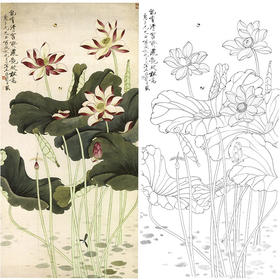 于非闇竖幅工笔花鸟白描底稿-荷花-红荷蜻蜓-YF72
