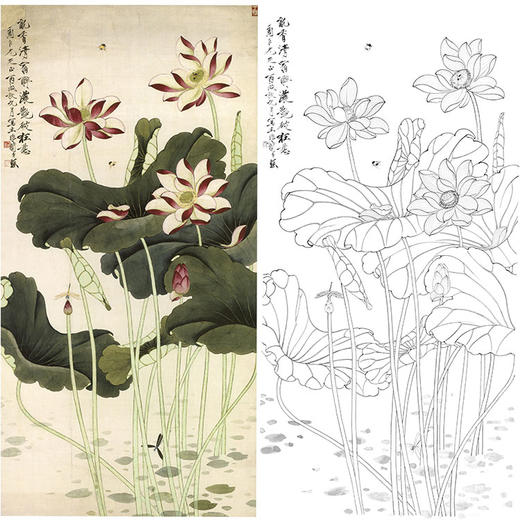 于非闇竖幅工笔花鸟白描底稿-荷花-红荷蜻蜓-YF72 商品图0