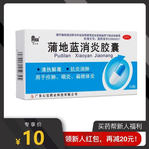 蒲地蓝消炎口服液 商品图0